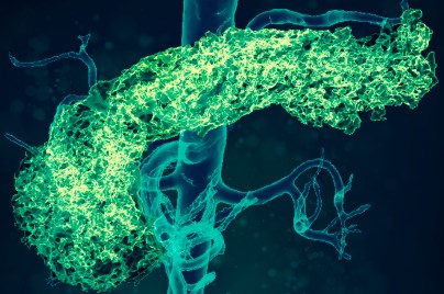 Cardio metabolic diseases