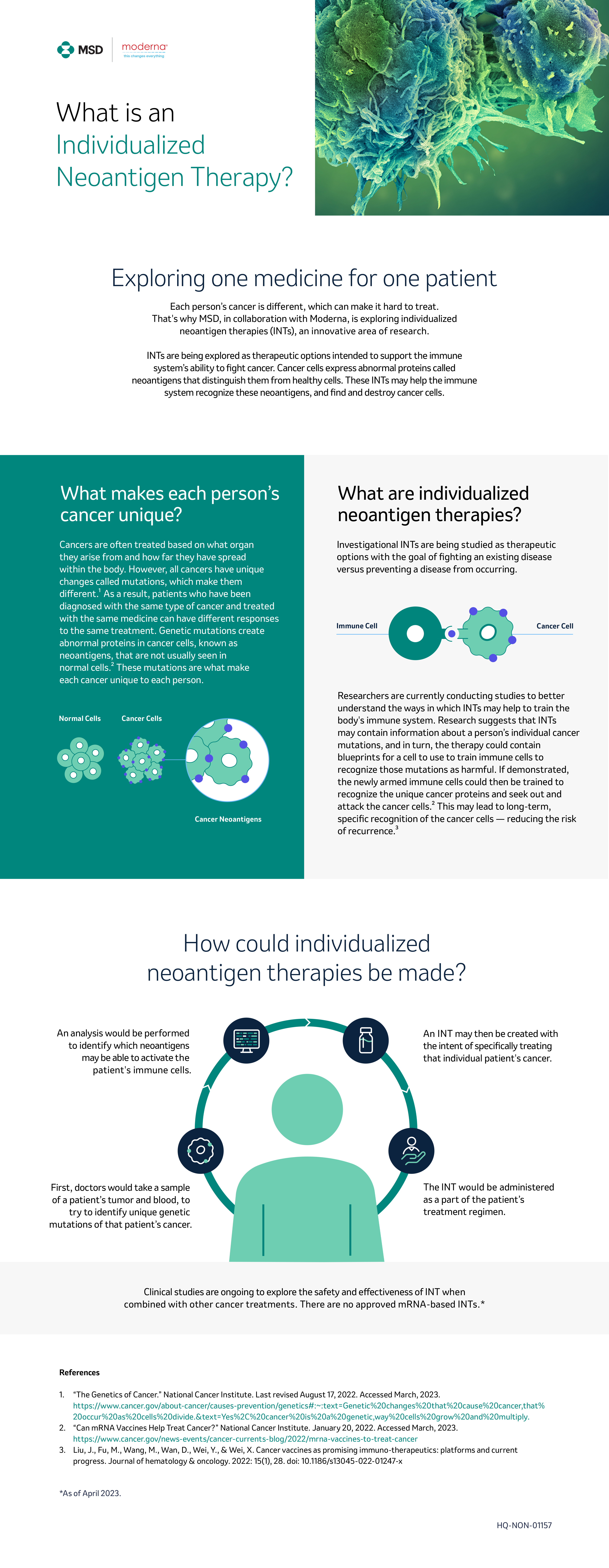 MSD PVC Infographic