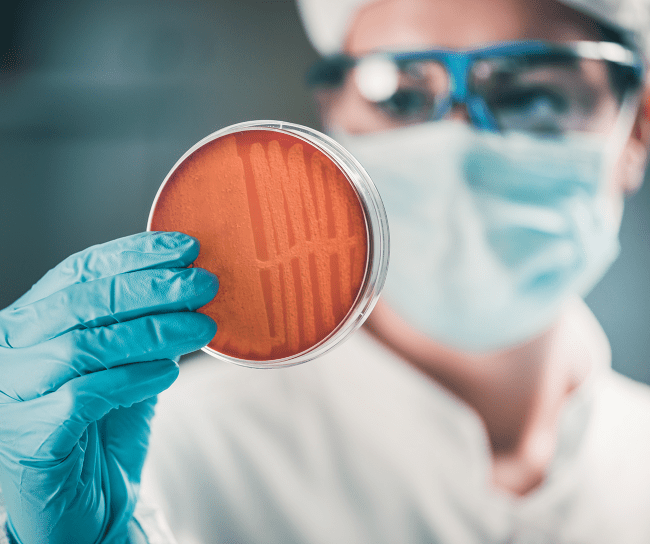 Scientist holding petri dish