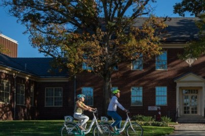 Employees riding bikes