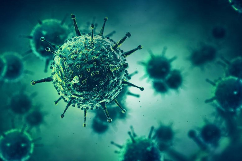 Infectious disease cells