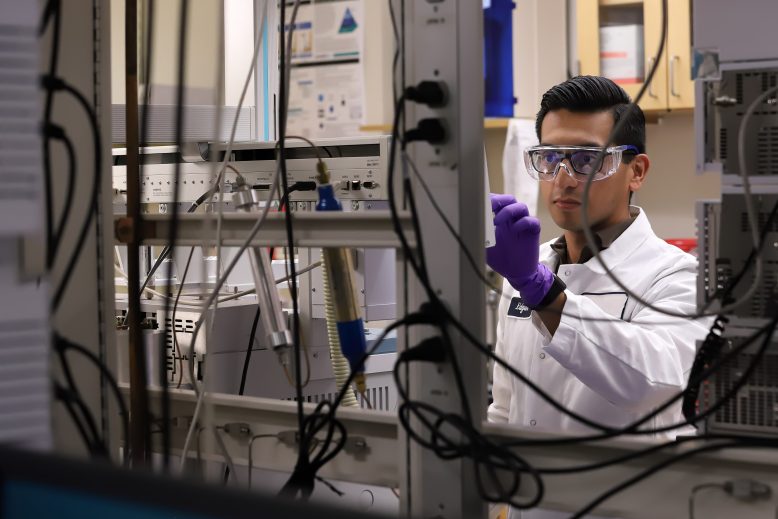 Scientist working in the lab