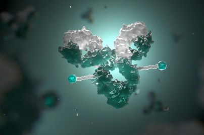 Image for We’re pursuing innovative science with antibody-drug conjugate (ADC) research