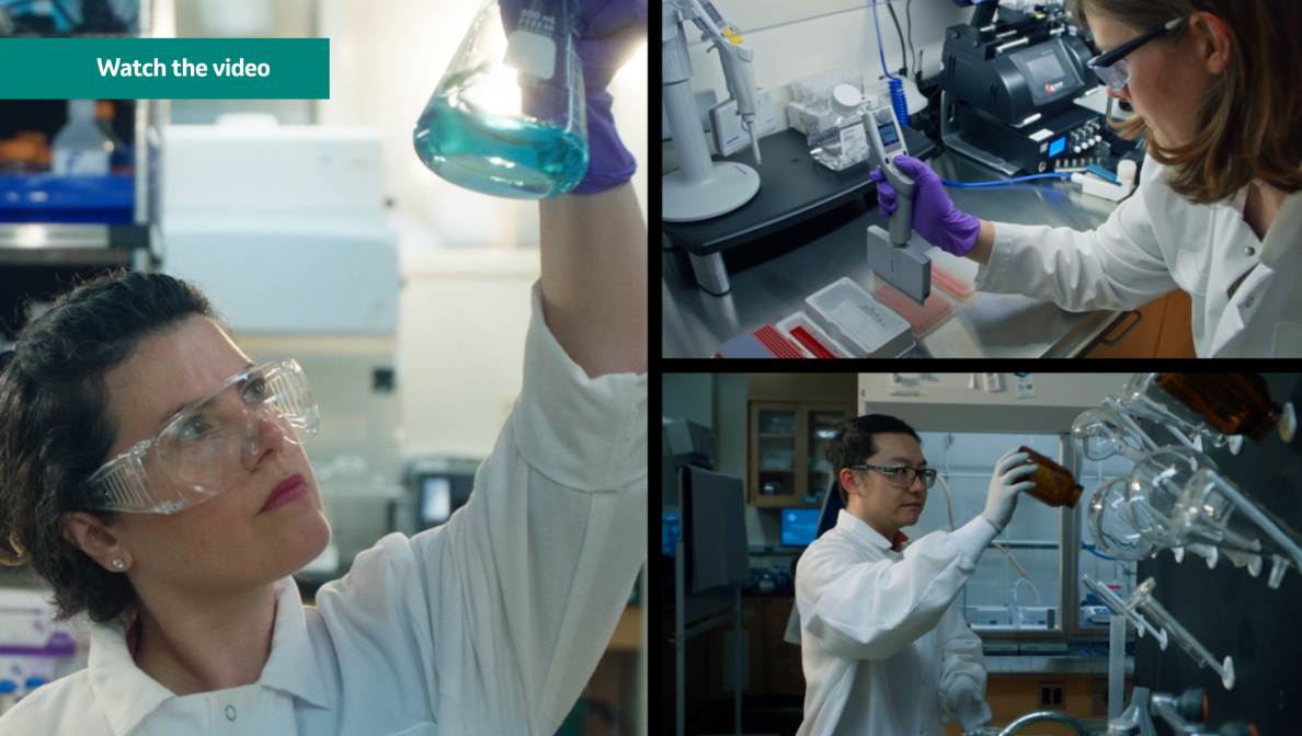 collage of scientists working in labs