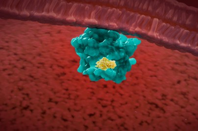 3D depiction of KRAS protein complex