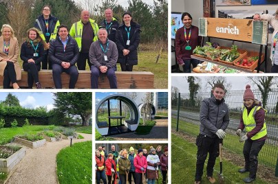 Group of people working together