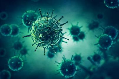 Infectious disease graphic