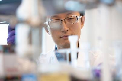 Scientist reviewing test tubes