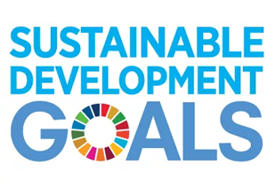 UN sustainable development goals logo