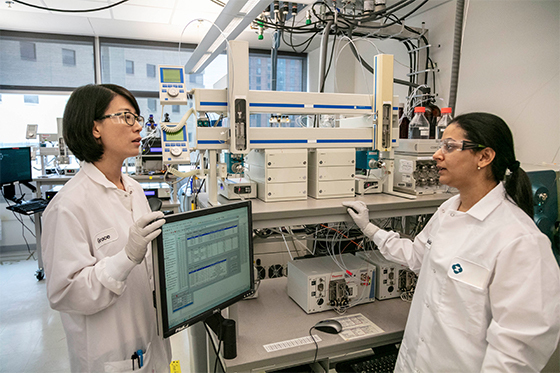 Lab technicians reviewing synthesis results