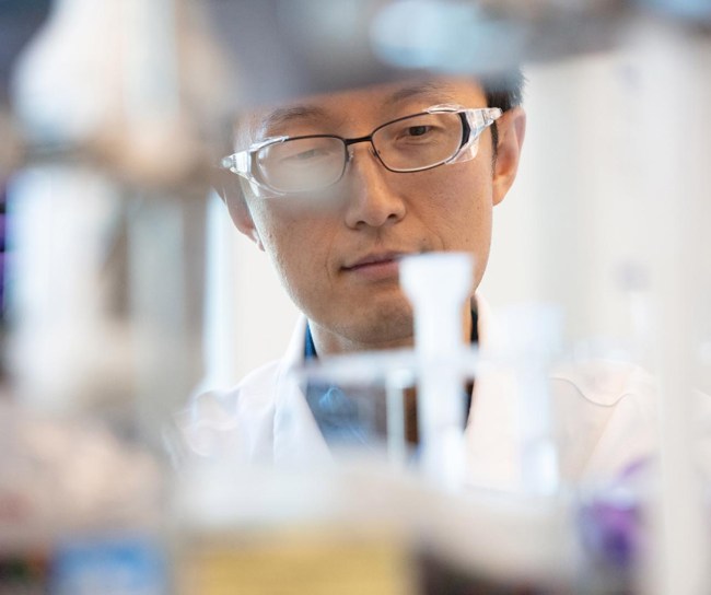 Scientist reviewing test tubes