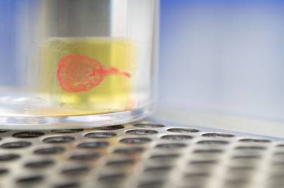 Lab-Equipment-RY-3D-technology