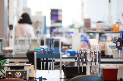 Test tubes in laboratory