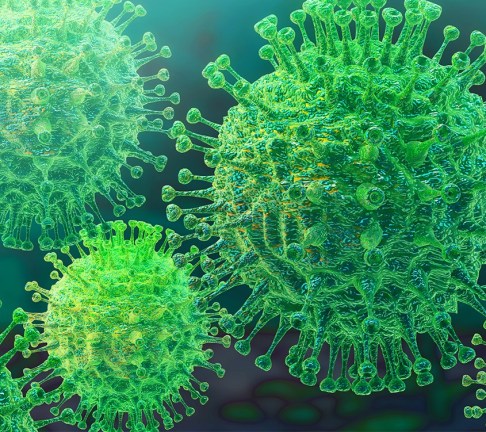 Image for Your questions answered: How MSD is responding to the COVID-19 pandemic