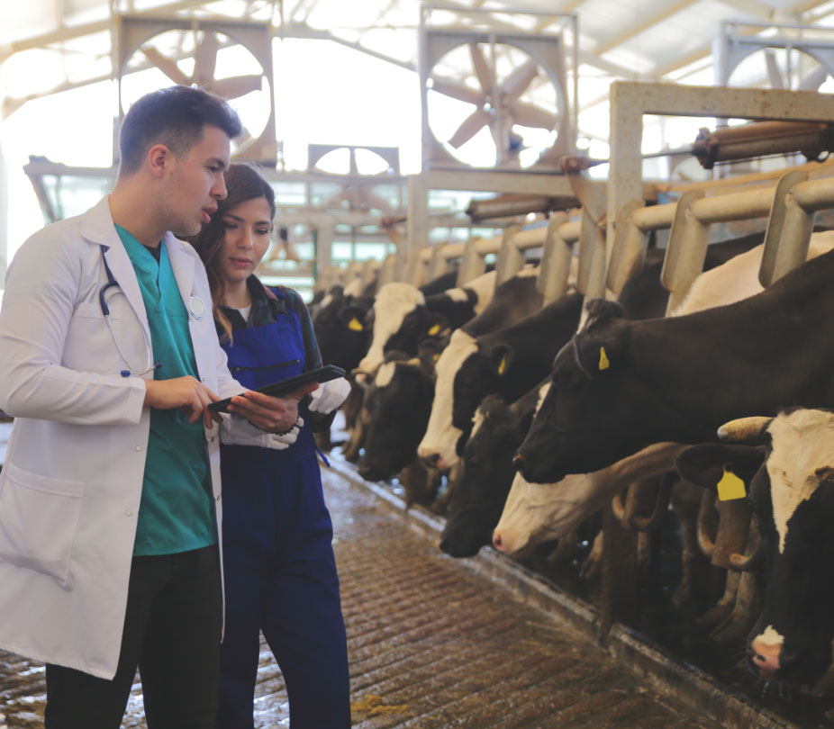 Addressing antibiotic resistance