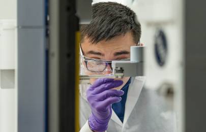 MSD scientist working in the lab