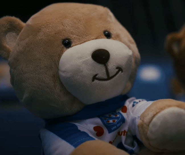 Close up of a teddy bear