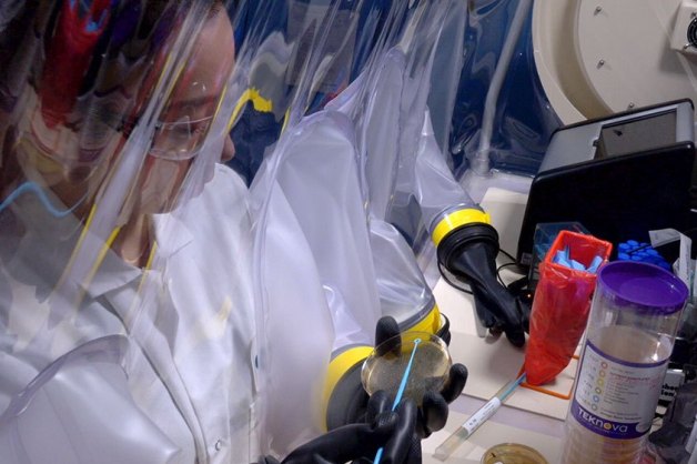 A MSD scientist working in anaerobic chambers