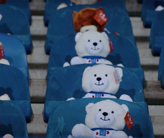 Image for Teddy bears step up to raise awareness for children’s cancer