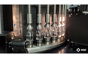 Automated visual inspection of filled vials