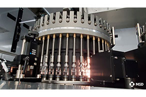 Automated visual inspection of filled vials