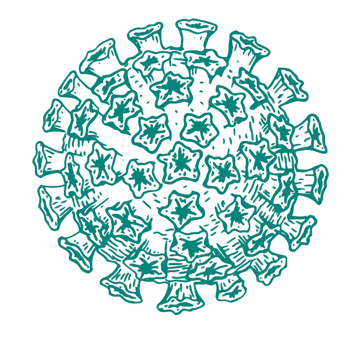 HPV virus