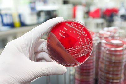 secondary article image