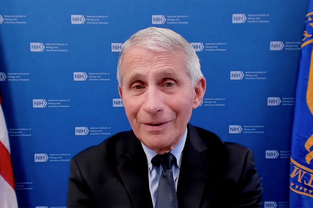 Dr. Fauci