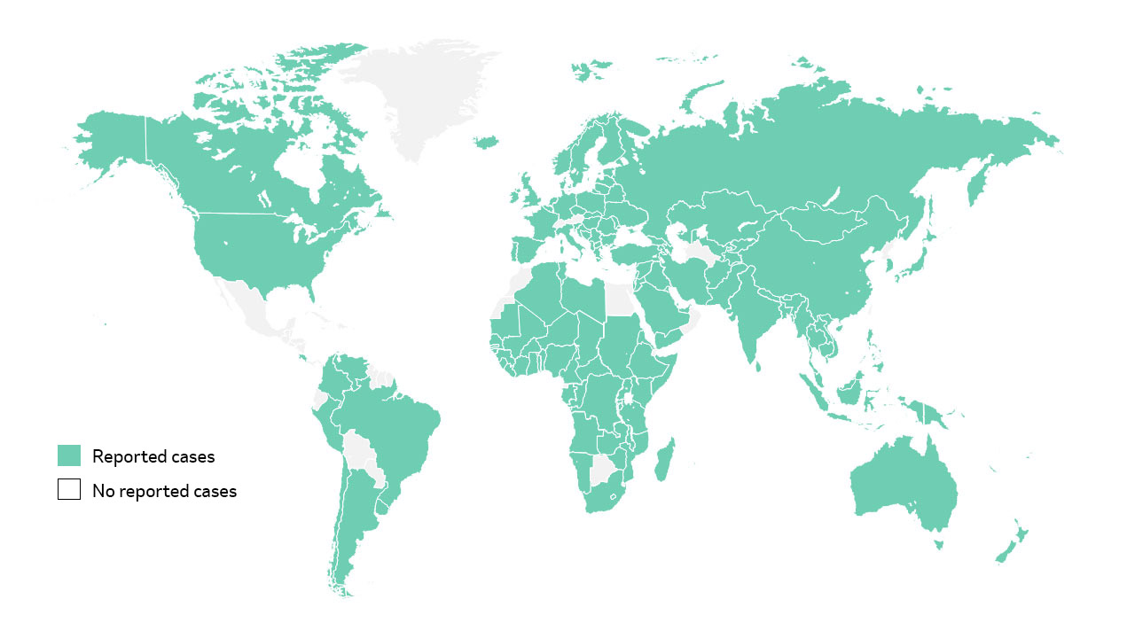 global map with measles cases