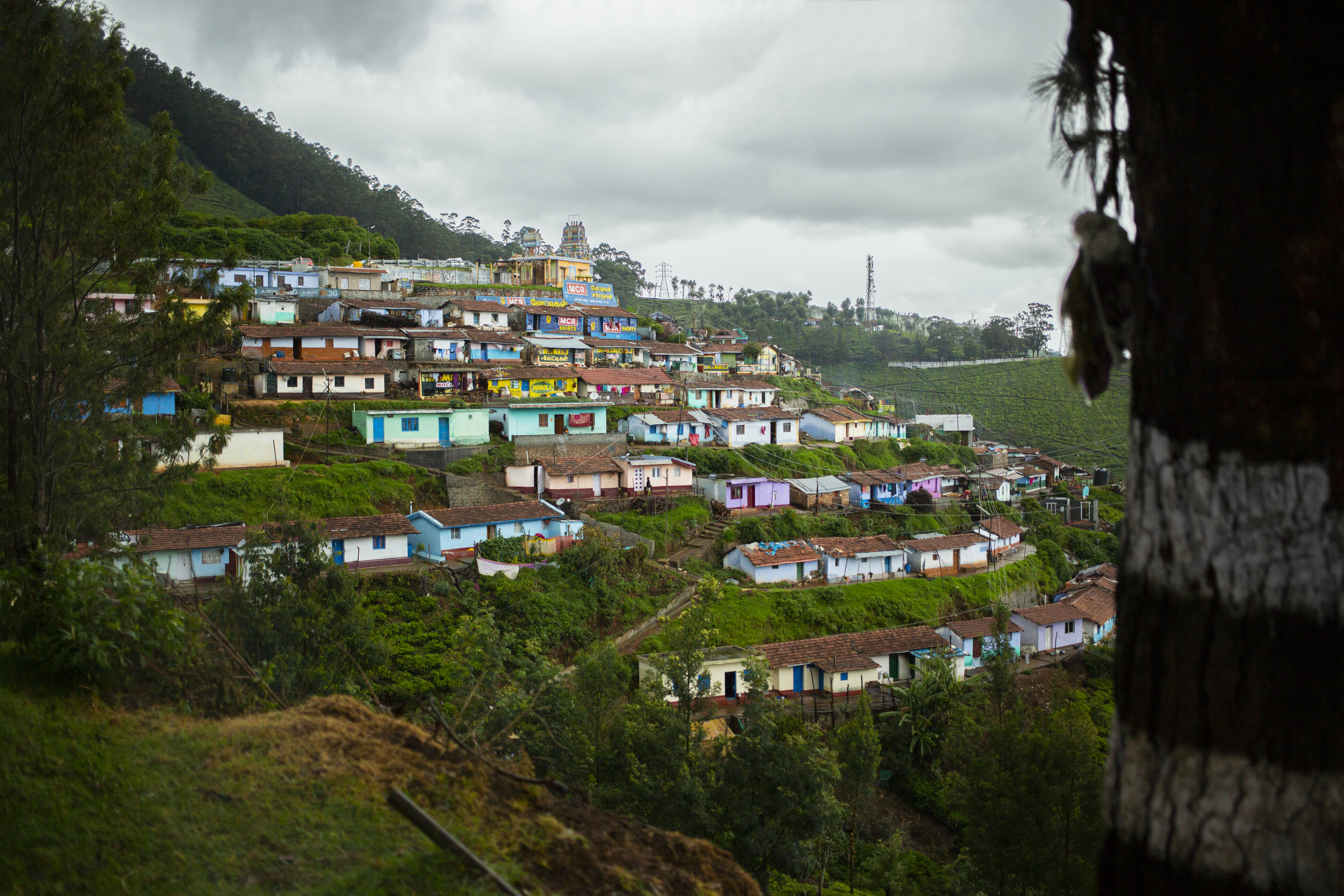 homes in a mountainside