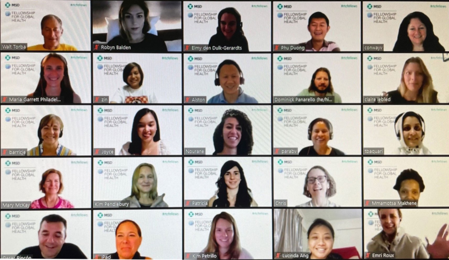 a global health fellows zoom call screen shot