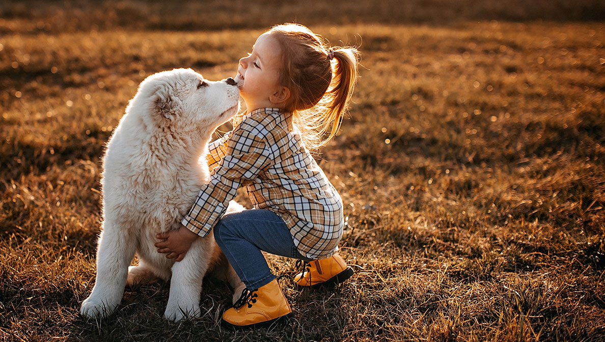 little girl hugging a white dog