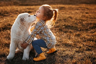 little girl hugging a white dog