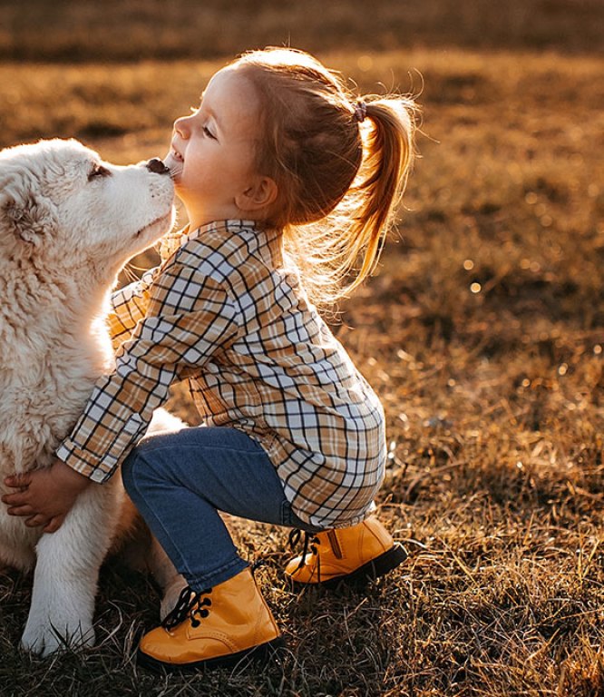 Image for Humans, animals and the environment - our health is all connected