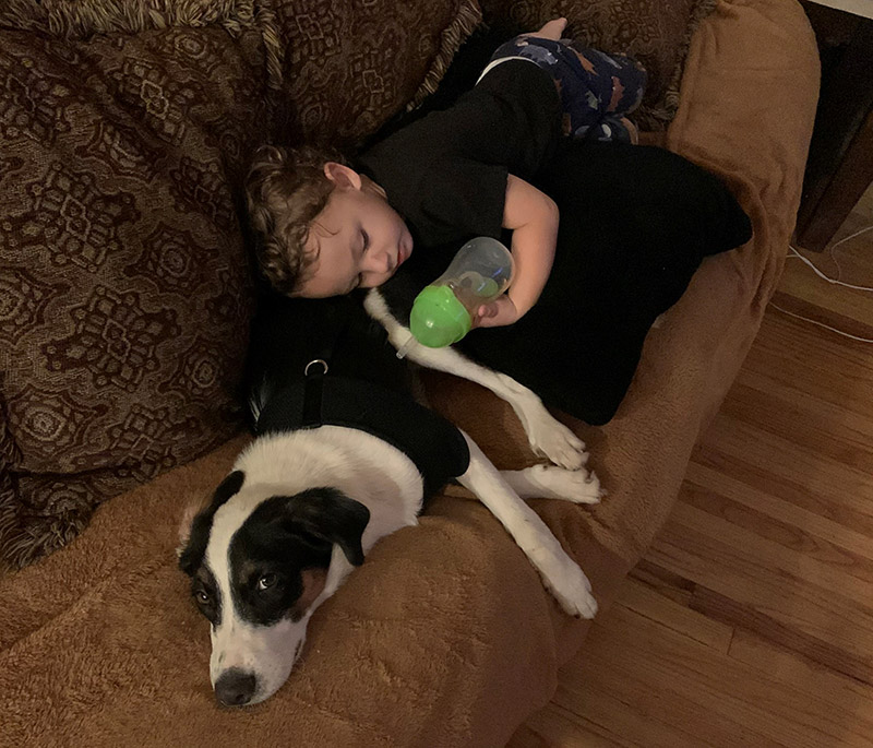 a boy laying with his dog