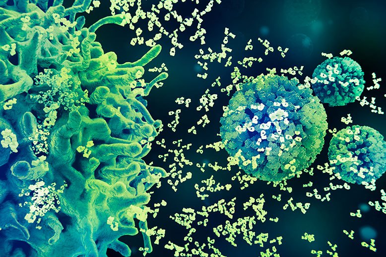 cells under a microscope