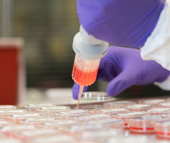lab work