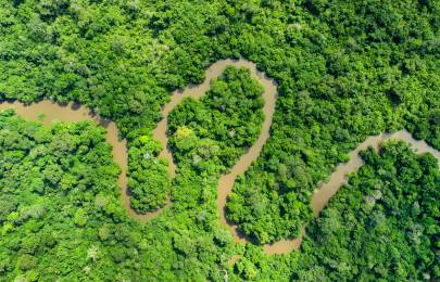Photo of river streaming between trees