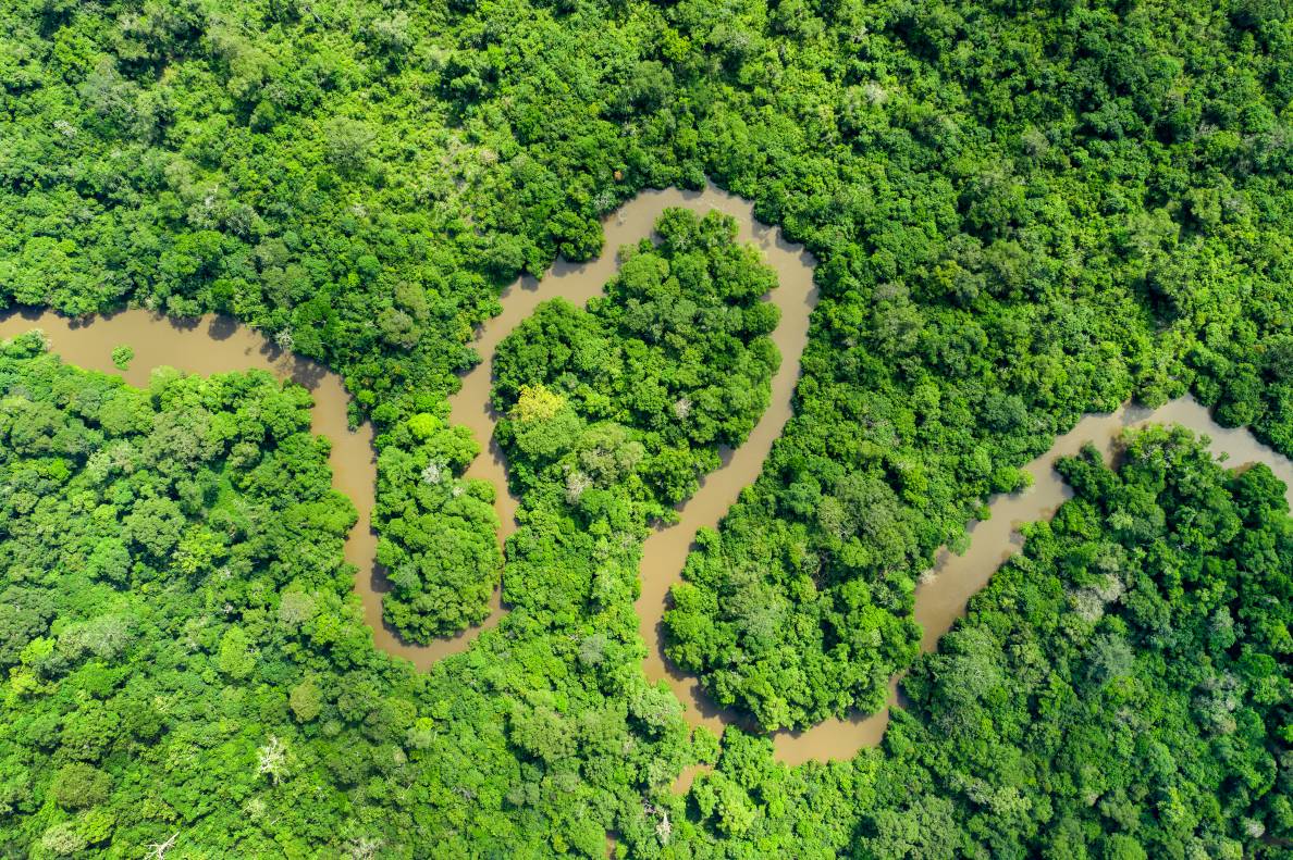 Photo of river streaming between trees