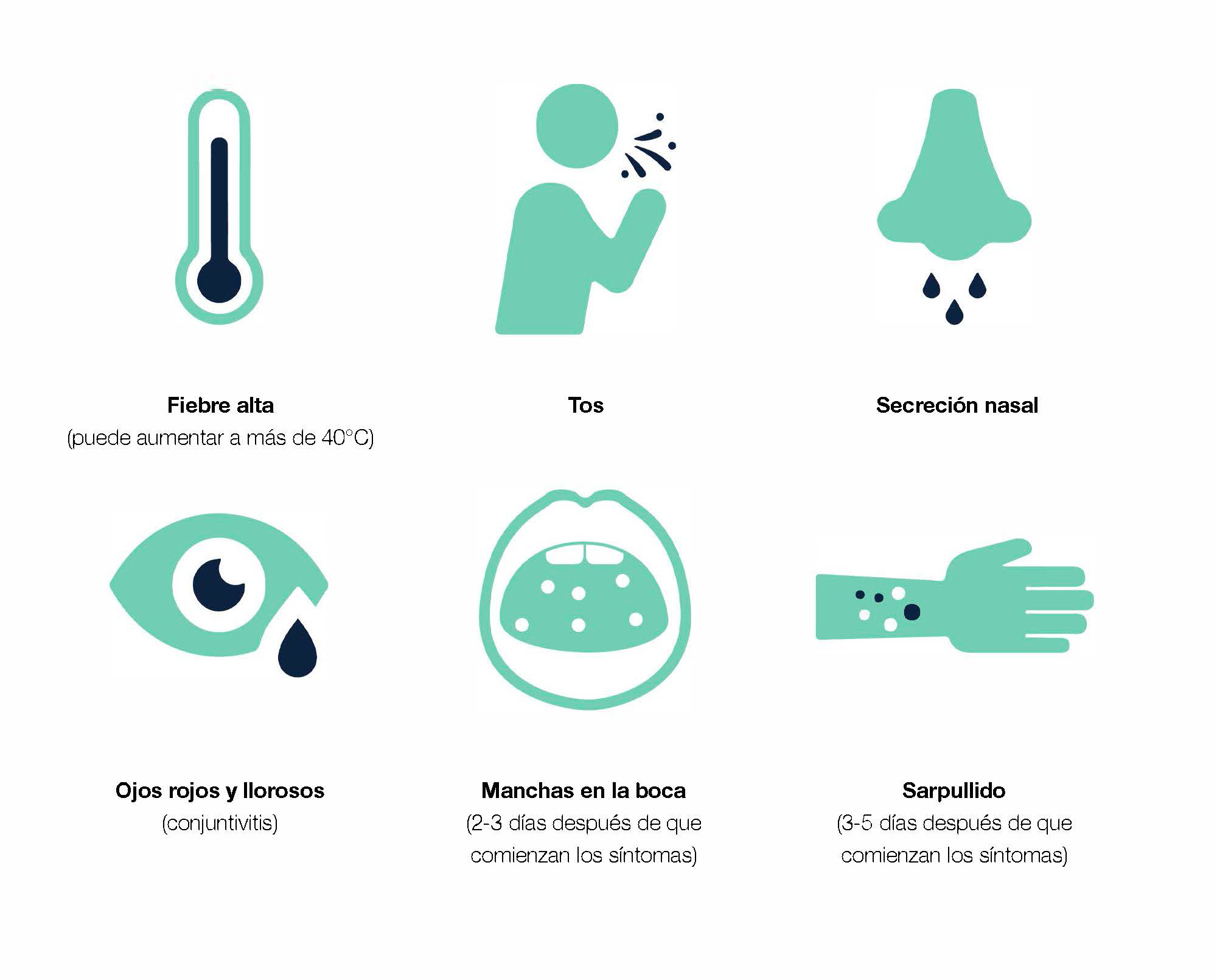 MSD Measles Infographic Spanish Language
