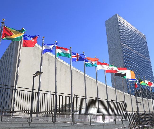 Country flags on site