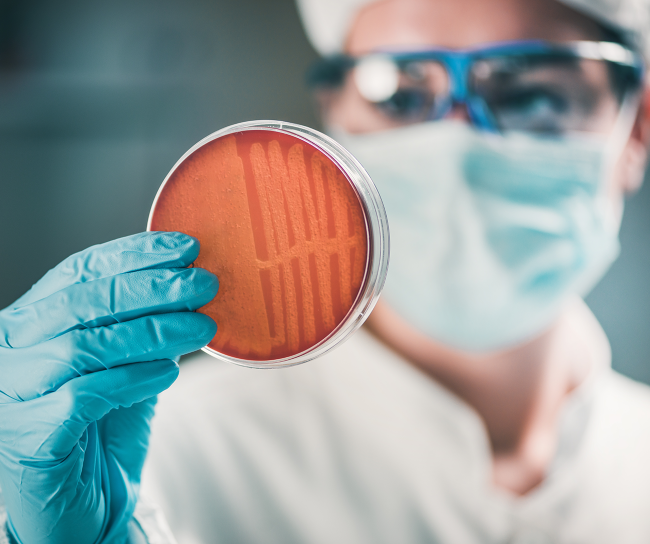 Scientist holding petri dish