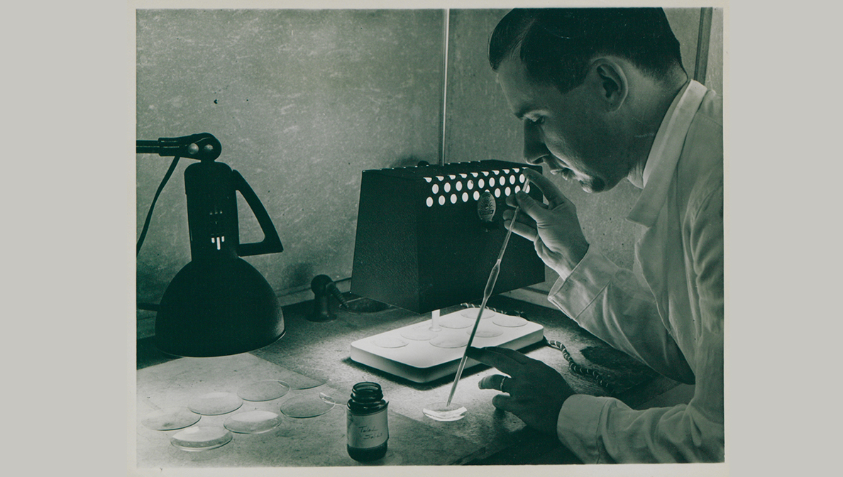 Scientist working in lab site