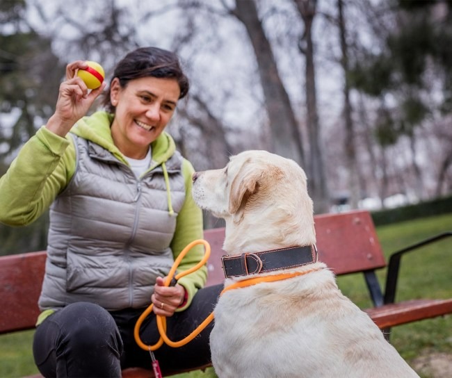 Woman plays fetch with her dog in park