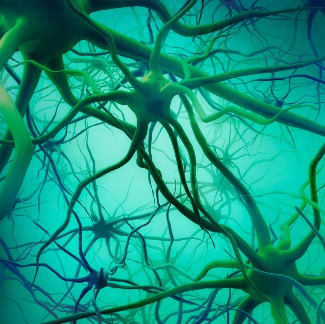 Science Visual Neurodegenerative