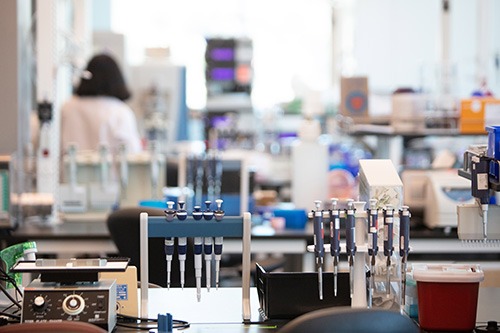 scientist in lab