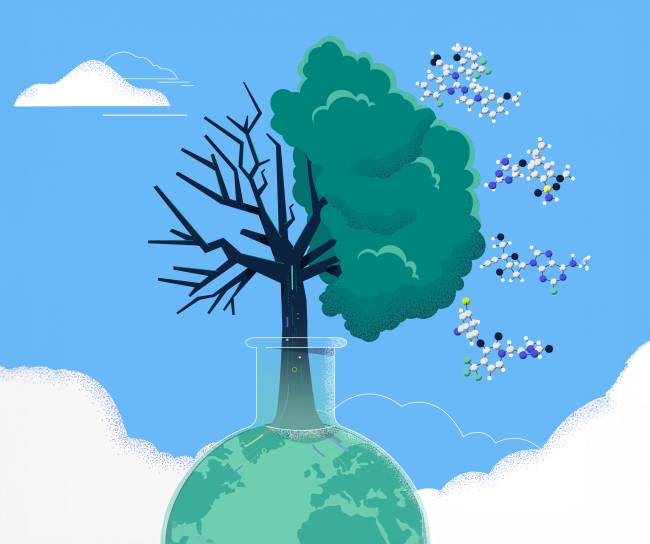 illustration of a tree and earth