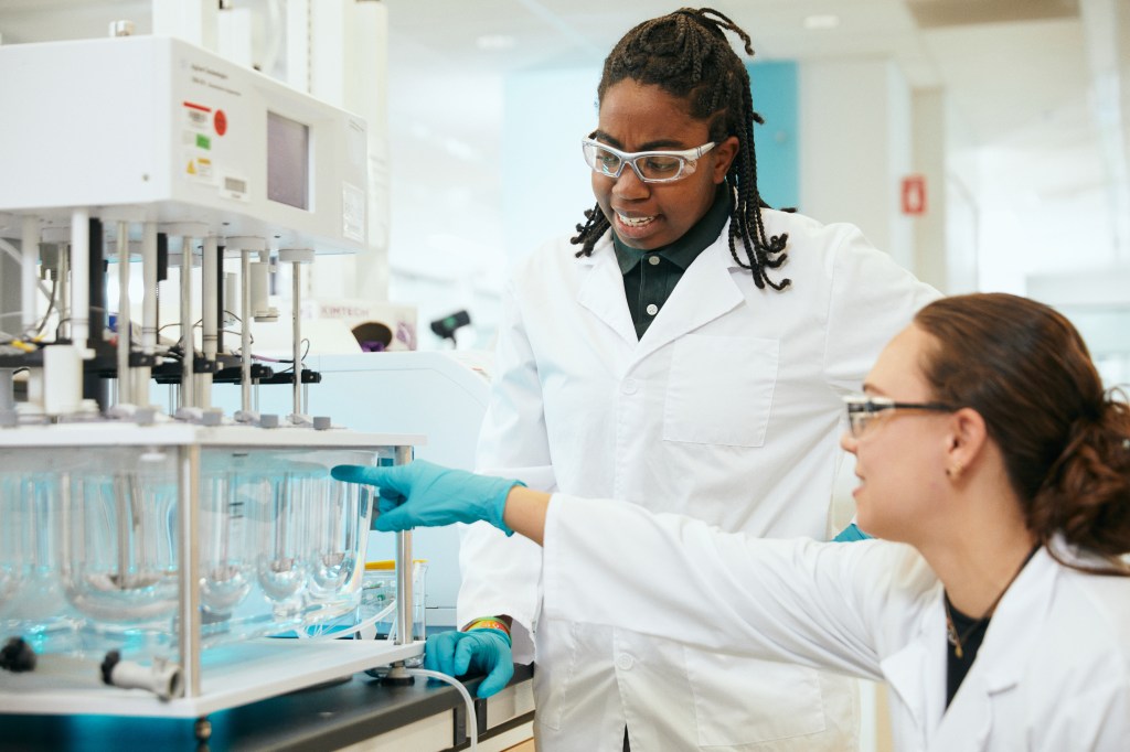 two scientists working in a lab