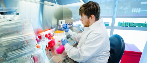 Scientist working in lab