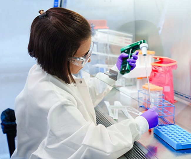 Scientists working in lab